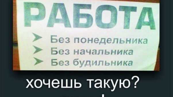 ZiIi Team Ссылка на проект в описании смотреть онлайн