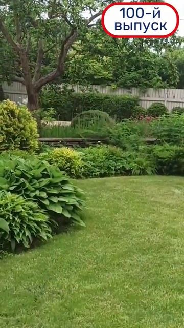 Сад "ВОЛНЫ и КРУГИ" #design #дизайн #ландшафтныйдизайн #garden #уходзасадом #youtubeshorts смотреть онлайн