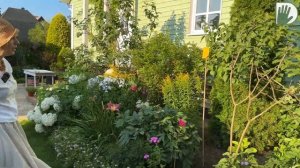 Видео журнал "СОФ №134"  Ищем НОВЫЕ цветовые решения для ВЗРОСЛОГО САДА.