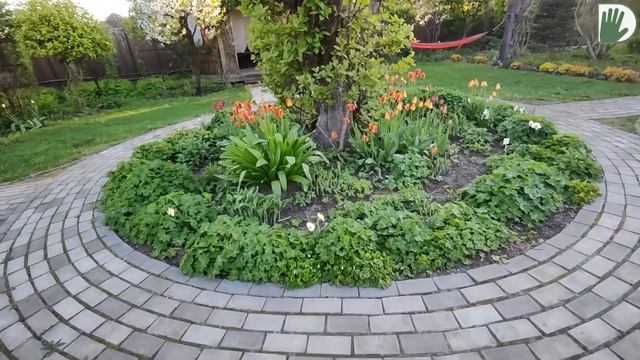 Видео журнал "СОФ №123" Весенне-цветущий сад Екатерины ЛОКШИНОЙ в начале мая смотреть онлайн