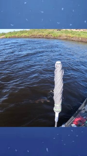 Шибанула по Воблеру! смотреть онлайн