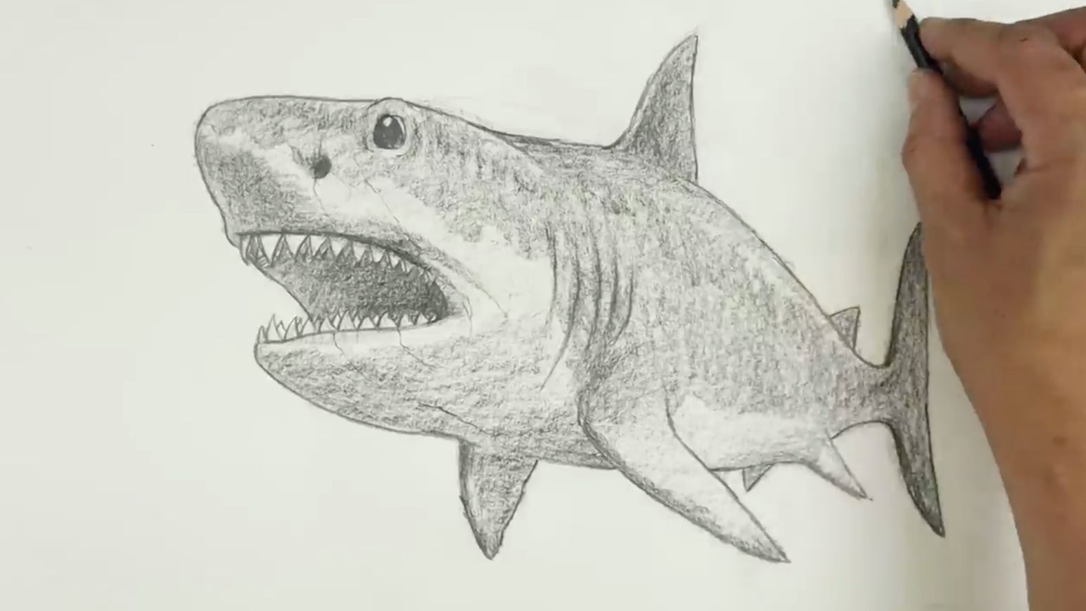 Как нарисовать Акулу карандашом просто и легко смотреть онлайн