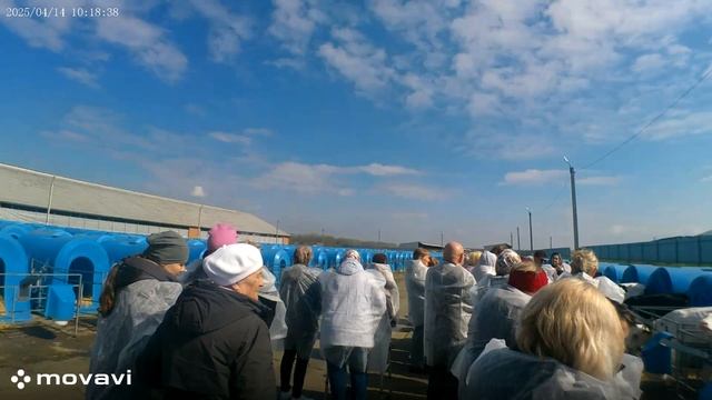 эконива