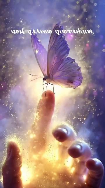 Волн единства_Йена Чиж.mp4