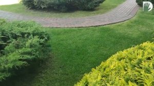 Видео журнал "СОФ №129"  РОСКОШНЫЙ САД с розарием, водоемом и отличным огородом.