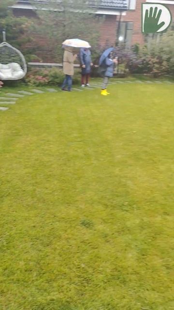 Сезон осенней практики - ОТКРЫТ! #youtubeshorts #ландшафтныйдизайн #design #garden #уходзасадом смотреть онлайн