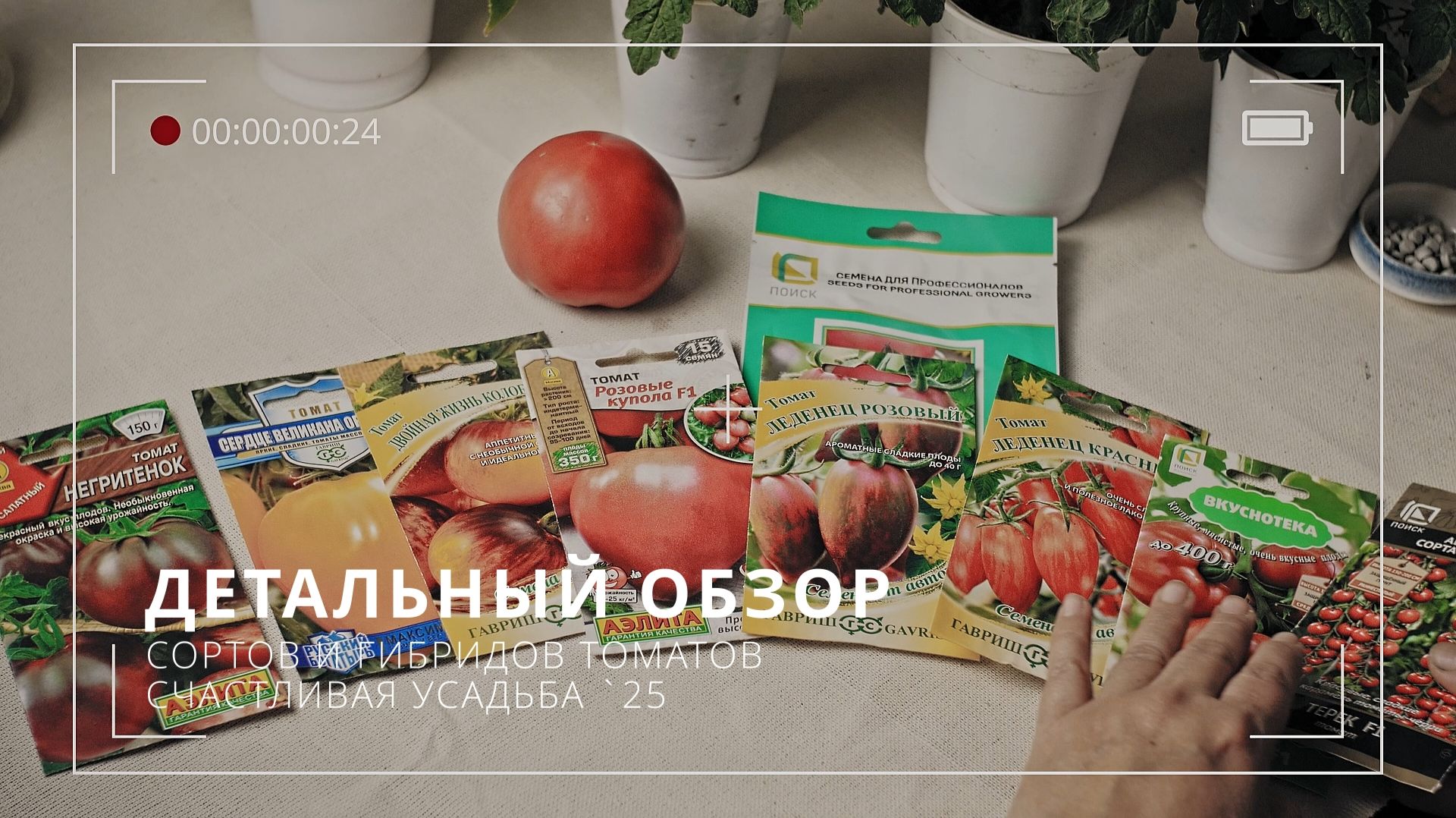 Какие томаты посадить? Большой обзор томатов по итогам 2025 года для юга России смотреть онлайн