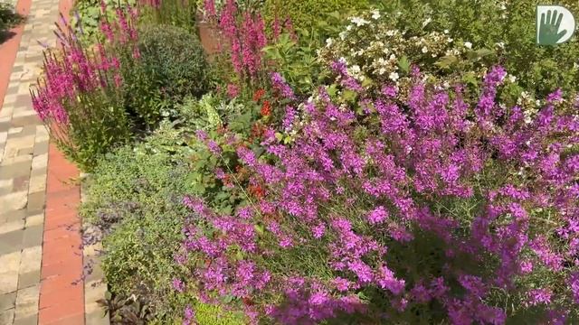 Видео журнал "СОФ №137" Авторский сад Анатолия ШАХОВА. Обзор, дизайн и детали смотреть онлайн