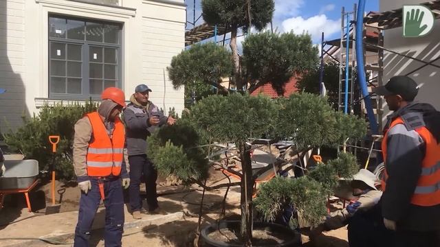 Видео журнал "СОФ №110" 2 РАЗНЫХ и СТИЛЬНЫХ сада в ноябре. смотреть онлайн