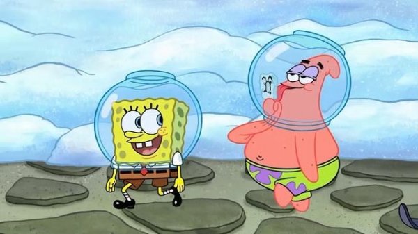 SpongeBob have got_has got