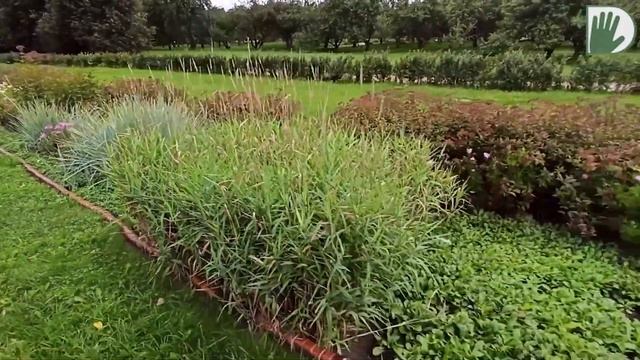 Видео журнал "PRO·ЦВЕТНИКИ" №3 - Эффектные цветники в парке «Коломенское» смотреть онлайн