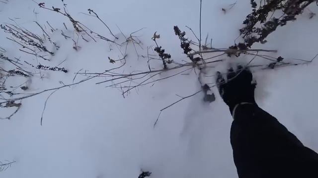 163_Дорога к фильму. Одиночный поход в заброшенную деревню. Провалился под лёд.Выживание зимой смотреть онлайн