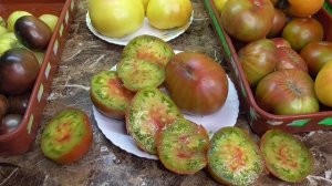 Томат Черный ананас №348 в рассаде и спелые плоды. 2022 год.