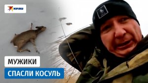 Рыбаки из Карасука спасли три десятка косуль, которые застряли на замёрзшем озере