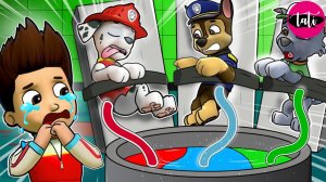 Щенячий патруль и Маршалл. Залипательное видео. Мультфильм для детей и малышей. Анимация