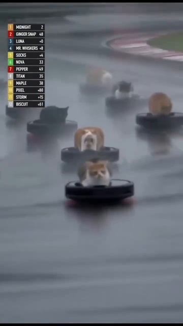 #172 || МЕМЫ || ПРИКОЛЫ || ЮМОР смотреть онлайн