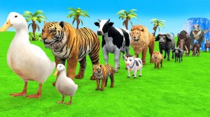 Мультики про животных. Дикие животные: Тигр, корова, гусь. Смотреть онлайн Мультики для детей