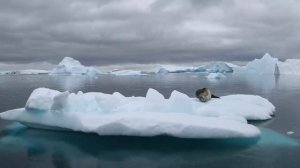 Ф. Мендельсон. Песня без слов соль минор. F. Mendelssohn. Song without words in G minor