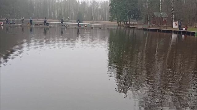 Форель реагирует и на блёсны, и на воблеры. Клёвое место, Лосиный остров, спорт-зона. смотреть онлайн