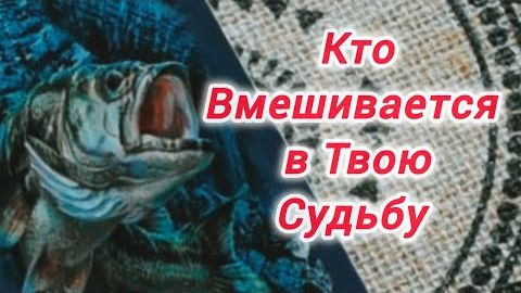 Вы должны это услышать❗кто вмешивается в твою судьбу⁉️🍀🍁 смотреть онлайн