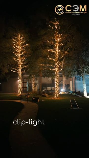 Время выбрать вашу идеальную новогоднюю иллюминацию! ✨