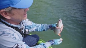 "МИР РЫБОЛОВА" Ловля голавля