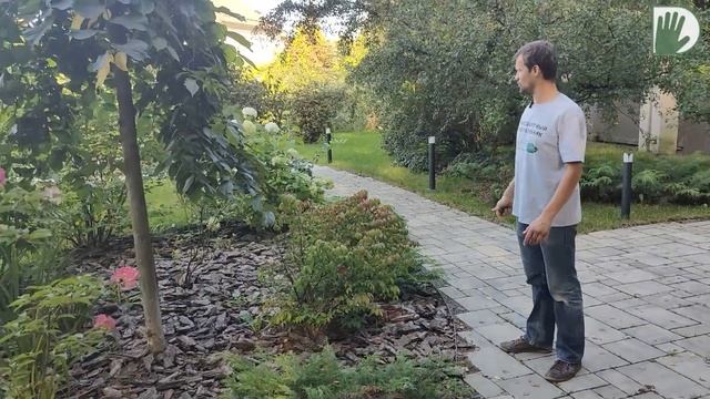 Видео журнал "СОФ №108" ТЕНЕВОЙ ЭКО САД. Дизайн, технологии и уход смотреть онлайн