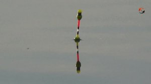 Красивые Поклëвки на Поплавок этого года, Подборка, Ловля Карася