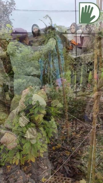 Практическое занятие в саду Михаила МОСЯГИНА #youtubeshorts #ландшафтныйдизайн #design #garden смотреть онлайн