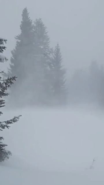 Вьюга. Звуки для сна