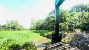 Удаление густых зарослей сорняков экскаватором–амфибией - Экстремальная операция по очистке реки”