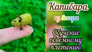Капибара из бисера / Обучение объёмному плетению / Как плести бисером / Объёмные фигурки из бисера /
