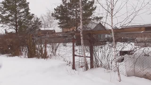 Дача. Февраль 2025 г. смотреть онлайн