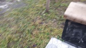 Первый день зимы  , а где же пчёлки ???