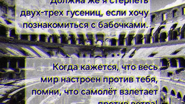 интересные цитаты