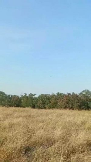 🚀Красивое видео пролета стаи русских крылатых ракет Х-101 над страной 404  🇷🇺