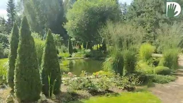 Видео журнал "СОФ №107" Сад "Надежный причал" смотреть онлайн