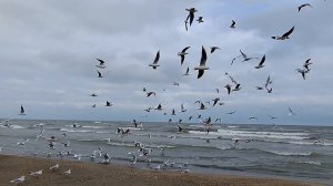 Серовский тракт.Махачкала