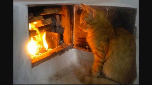 Природа. Последний день тепла ))) Cinema 4K