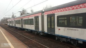 Иволга из Москвы 1 декабря 2025 года