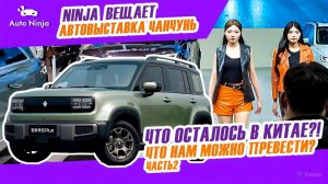 АВТОВЫСТАВКА КИТАЙ 2025: ТОП АВТО ДО 160 Л.С. ПОСЛЕ НОВОГО ЗАКОНА! Часть 2