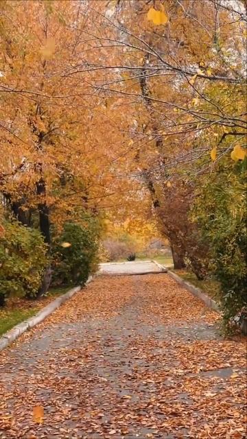 Танец Осени