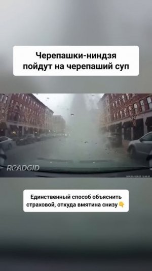 Черепашки ниндзя