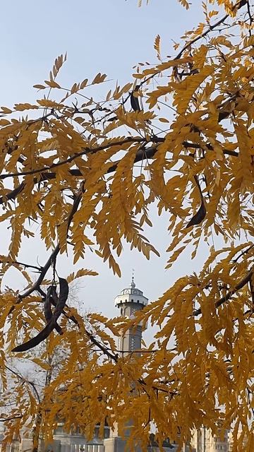 Осень. Мечеть. Бишкек.