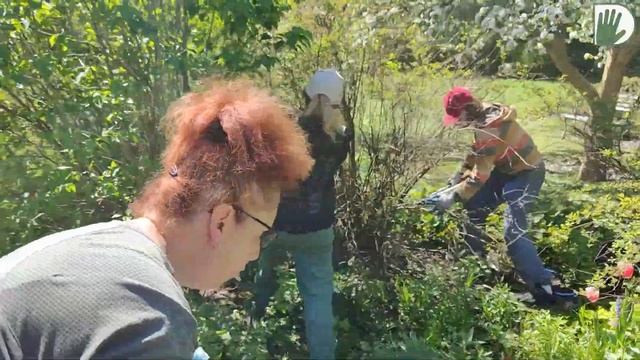Видео-визитка "ЦВЕТУЩАЯ ПЛАНЕТА". Дмитрий ПАТРИКЕЕВ смотреть онлайн