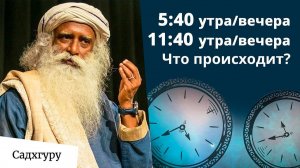 Как меняется энергия в течение дня