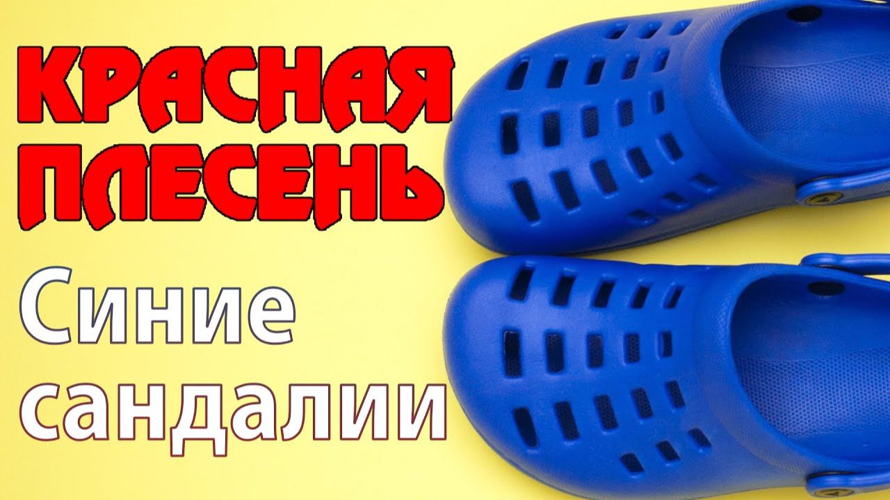 Красная Плесень Синие Сандали