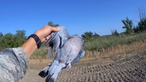 НА КОНЕЦ ТО!!! Первый Вяхирь добыт.