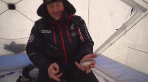 "НАРОДНЫЙ ПРОЕКТ СИБИРЬ"