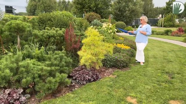 Видео журнал "СОФ №128" САД У ВОДЫ. История, дизайн, розарий и цветники смотреть онлайн